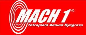 Mach 1 ® Annual Ryegrass